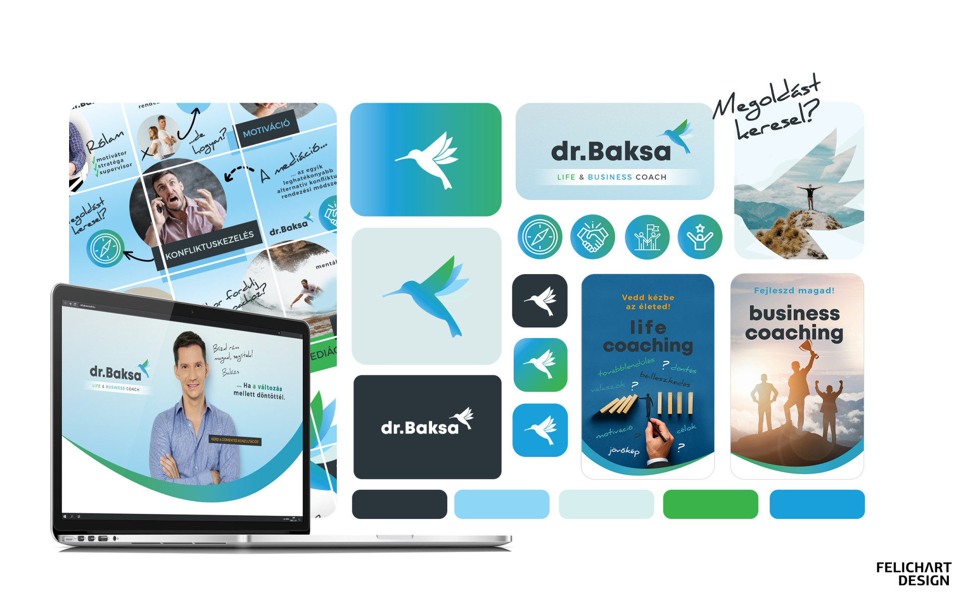 BaksaBalazs 2020_felichart_design